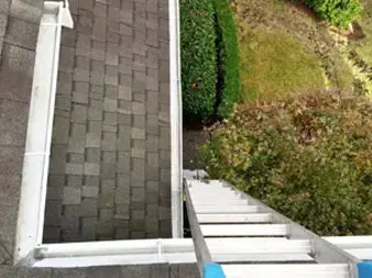 A house with stairs and bushes in the yard